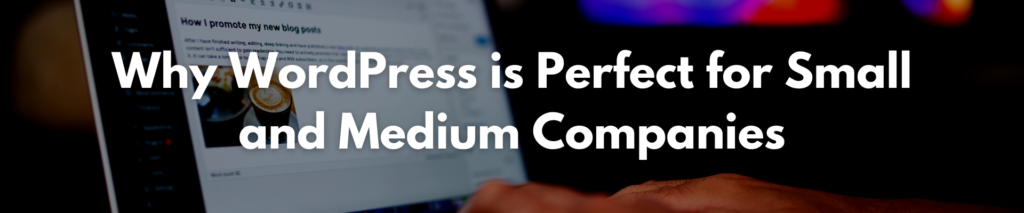 Why WordPress is Perfect for Small and Medium Companies